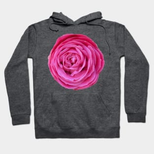 Dark Pink Peony Blossom Hoodie